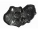 CARK6118  LighTech Carbon Fiber - Kawasaki -ZX10 R  '08 - '10 -Pick Up Cover