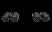 TP-CT/26  Akrapovic Automotive Exhaust -BMW M3/M4(F80/F82/F83) 2014-2017  Tail pipe set (Carbon)