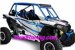 UTV Cab Enclosure - Pro Armor XP1K ASYLUM CAGE SYSTEM- RAW V-INTRUSION   P141C022