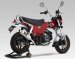 110A-45H-5X50  Yoshimura JAPAN   Yoshimura FULL SYSTEM YAT  RACE GP-MAGNUM DOWN PIPE STAINLESS w/ STAINLESS MUFFLER- 2023-25  DAX 125