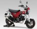110A-45H-5X50  Yoshimura JAPAN   Yoshimura FULL SYSTEM YAT  RACE GP-MAGNUM DOWN PIPE STAINLESS w/ STAINLESS MUFFLER- 2023-25  DAX 125